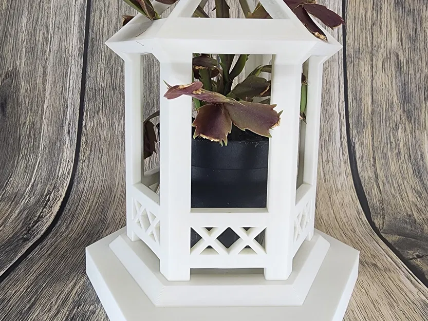 Giá đỡ cây cối Flora-Gazebo cho không gian sống thêm sinh động - Image 3