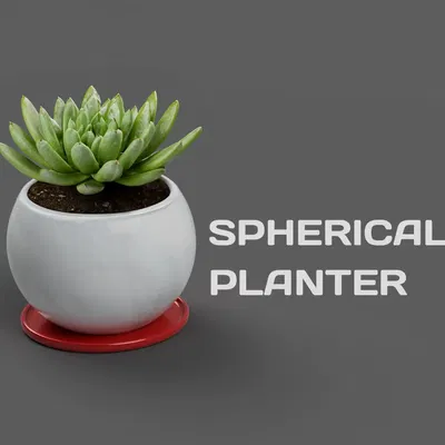 Chậu cây hình cầu đơn giản nhưng tinh tế