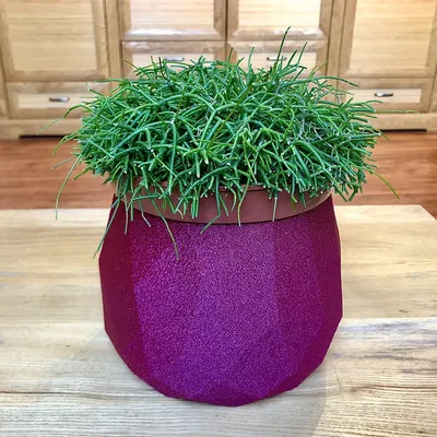 Chậu cây Low Poly in chế độ bình vase