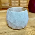 Chậu cây Low Poly in chế độ bình vase - Thumbnail 5