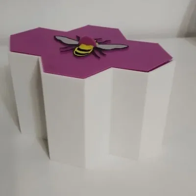 Mô hình trò chơi Hive với các phần mở rộng và hộp đựng