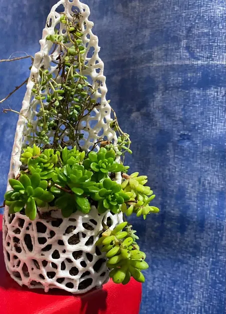 Chậu cây cho dây leo với thiết kế thông minh - Image 1