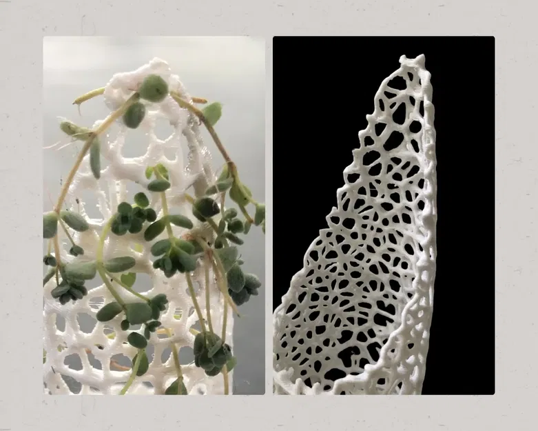 Chậu cây cho dây leo với thiết kế thông minh - Image 2