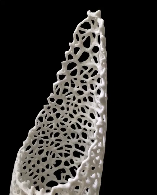 Chậu cây cho dây leo với thiết kế thông minh - Image 3