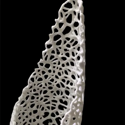 Chậu cây cho dây leo với thiết kế thông minh