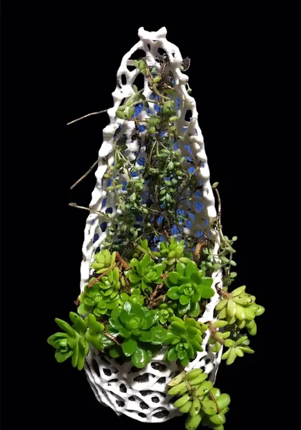 Chậu cây cho dây leo với thiết kế thông minh - Image 6