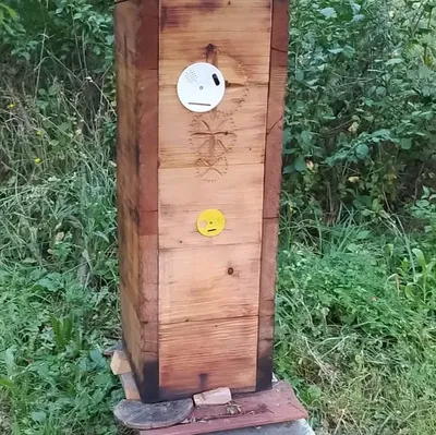 Cửa ra vào tổ ong hình tròn