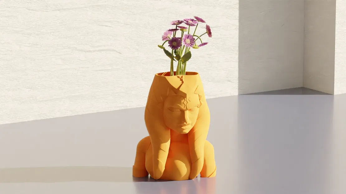 Chậu cây Ahsoka trong vũ trụ Star Wars - Image 1