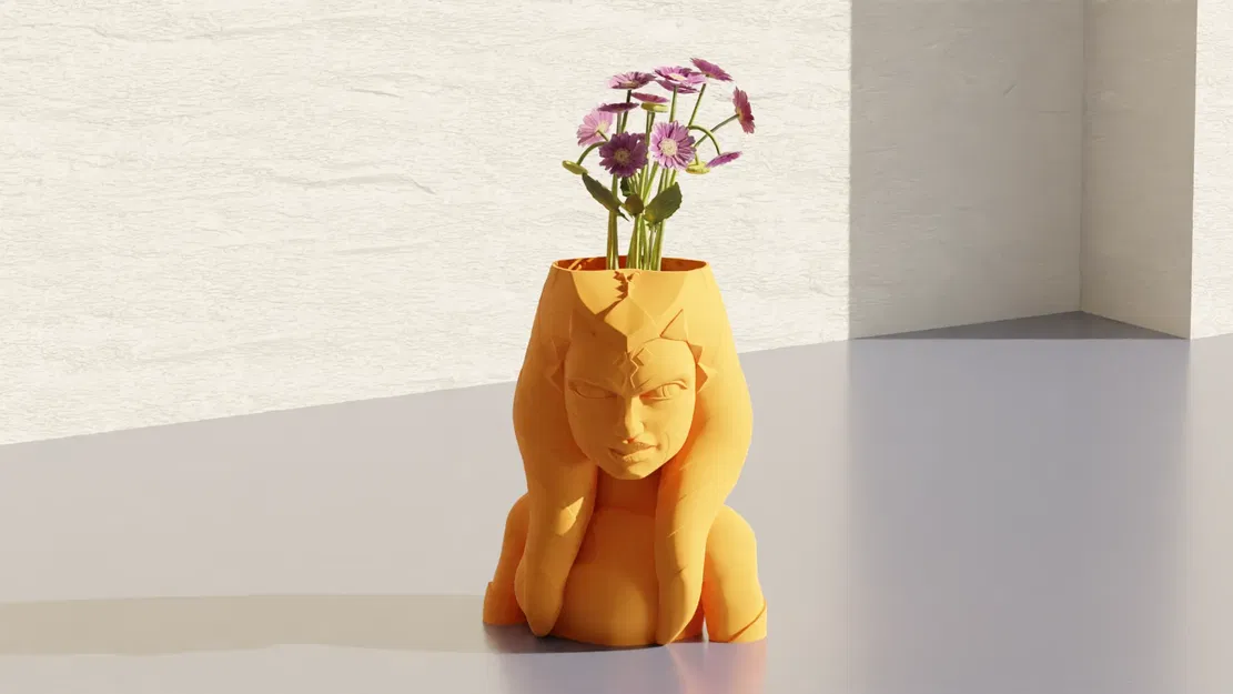 Chậu cây Ahsoka trong vũ trụ Star Wars - Image 2