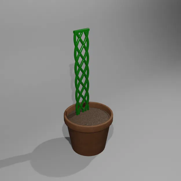 Thực vật leo dây năm sợi bện - Image 1