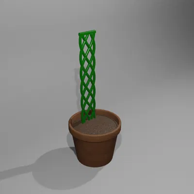 Thực vật leo dây năm sợi bện