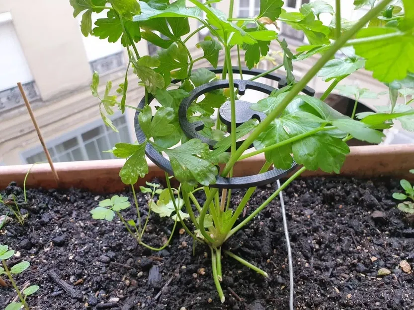 Giá đỡ xoắn cho cây trồng với kích thước 12cm - Image 1