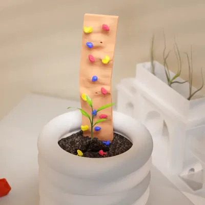 Tường leo núi mini cho chậu cây - Không cần giá đỡ