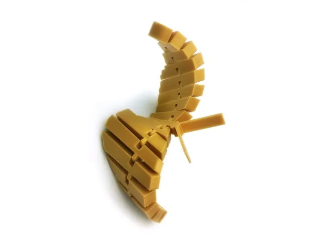 Bướm Khớp Nối Nghệ Thuật - Image 2
