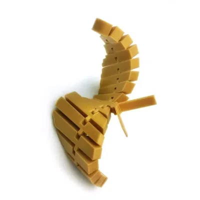 Bướm Khớp Nối Nghệ Thuật