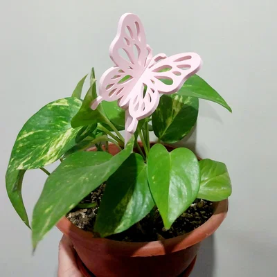 Giá đỡ cây với thiết kế bướm 3D độc đáo