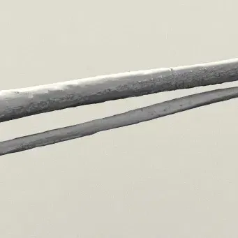 Xương ống và xương mác của con người trong mô hình 3D