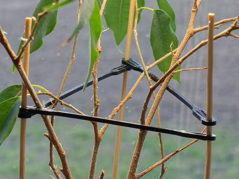 Giá đỡ cây trồng bằng que tre Dinky - Image 1