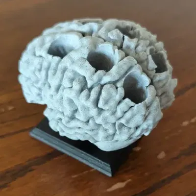 Giá đỡ bút hình não người 3D