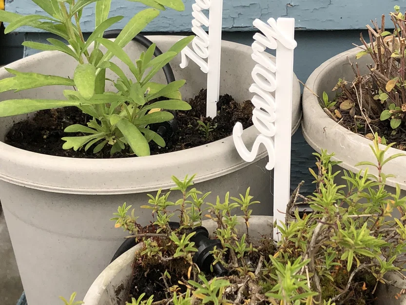 Cọc đánh dấu thảo mộc cho vườn rau - Image 1