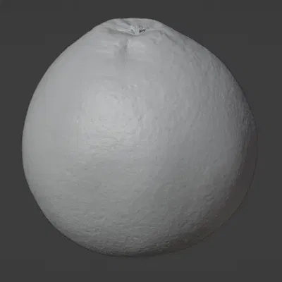 Bưởi 3D được tạo ra bằng công nghệ Photogrammetry