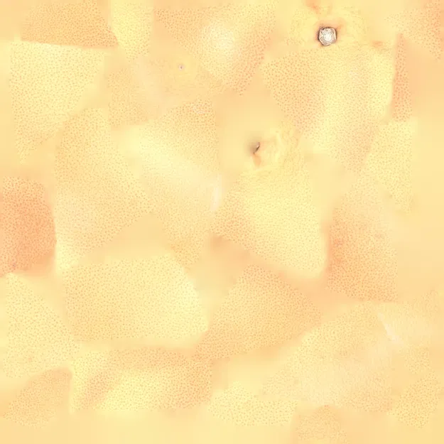 Bưởi 3D được tạo ra bằng công nghệ Photogrammetry - Image 4