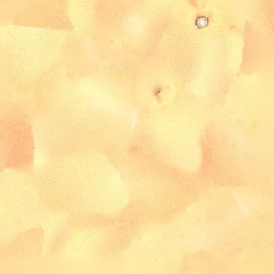 Bưởi 3D được tạo ra bằng công nghệ Photogrammetry