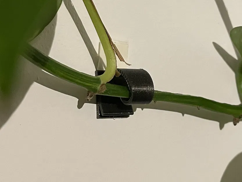 Giá đỡ dây leo nhỏ cho cây dây leo yêu thích - Image 1