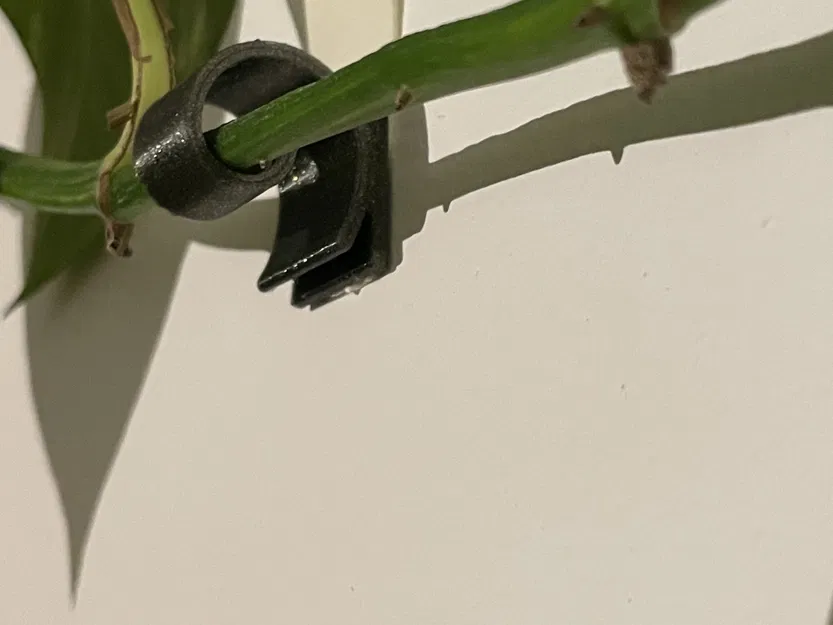 Giá đỡ dây leo nhỏ cho cây dây leo yêu thích - Image 2