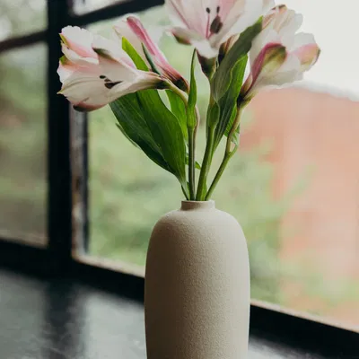 Bộ bình hoa đơn giản cho trang trí nội thất