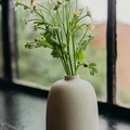 Bộ bình hoa đơn giản cho trang trí nội thất - Thumbnail 4