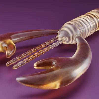 Khuôn tạo mồi câu Yabby cho các cuộc thi câu cá