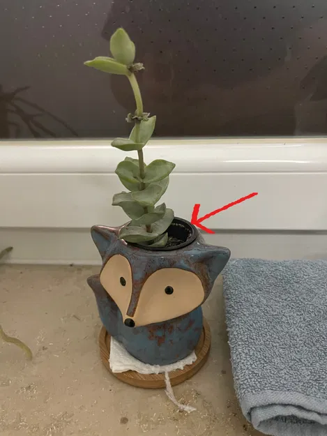 Chậu hoa mini in 3D từ CPE HG100 - Image 2