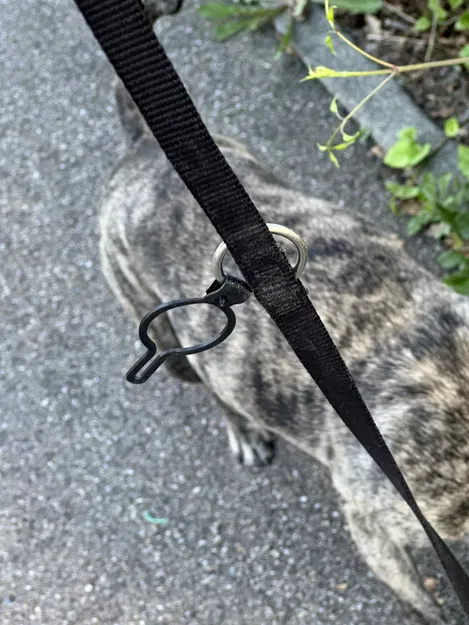 Giá đỡ túi phân chó không cần phụ kiện - Image 1