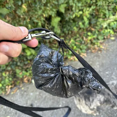 Giá đỡ túi phân chó không cần phụ kiện