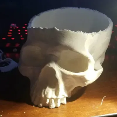 Bát hình sọ người mở rộng với thiết kế oval