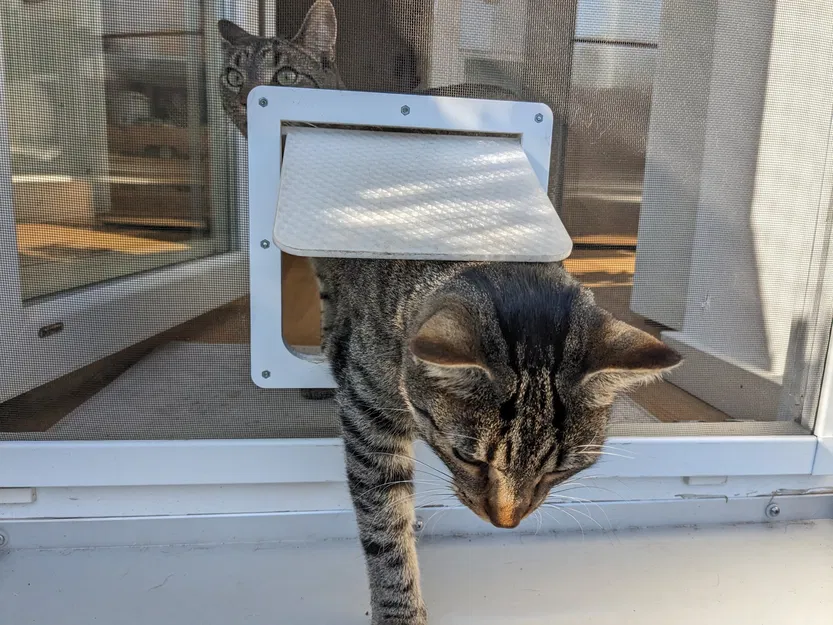 Cửa cho mèo gắn với màn chống muỗi - Image 1