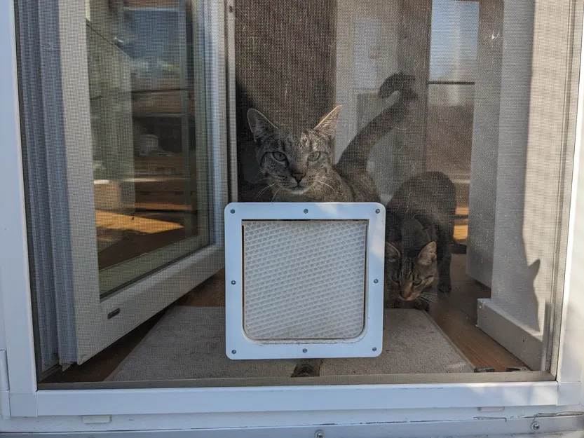 Cửa cho mèo gắn với màn chống muỗi - Image 3