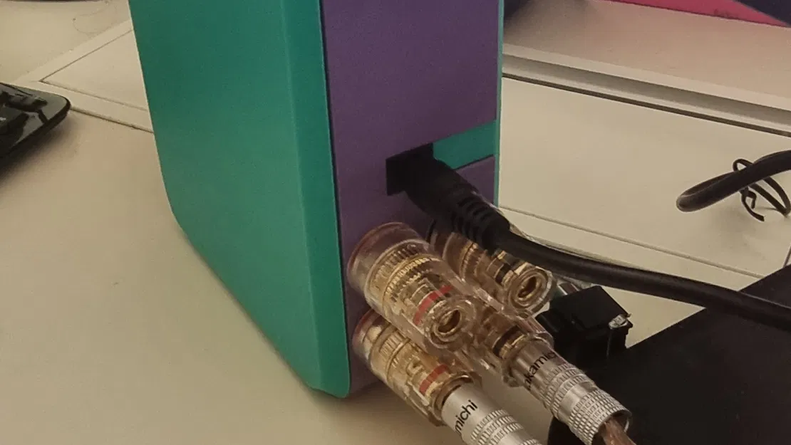 Vỏ khuếch đại TPA3116 nhỏ gọn và tinh tế - Image 2