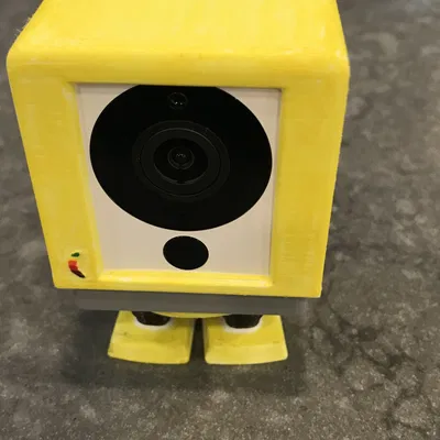 Trang trí Banana Jr cho camera Wyze