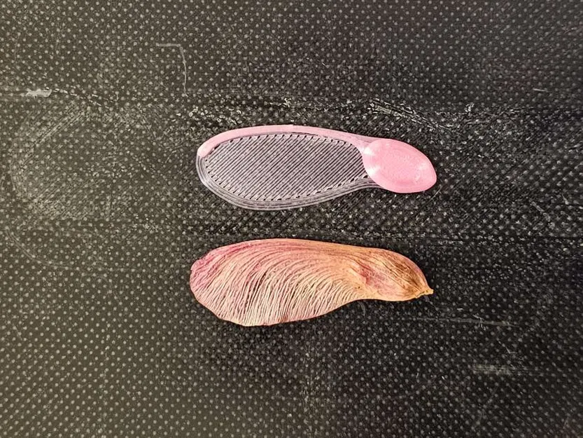 Quả giống cây phong - Máy bay trực thăng siêu nhẹ 1 gram - Image 2