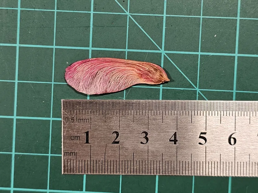 Quả giống cây phong - Máy bay trực thăng siêu nhẹ 1 gram - Image 3