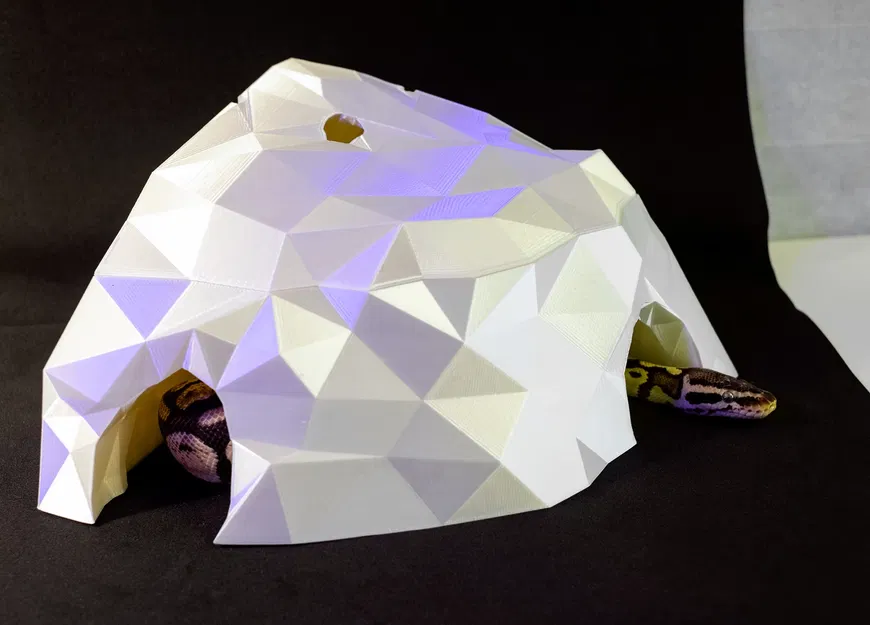 Hang Đá LowPoly cho Bò Sát trong Terrarium - Image 1