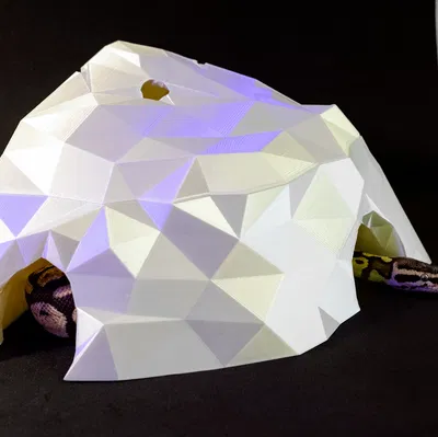 Hang Đá LowPoly cho Bò Sát trong Terrarium