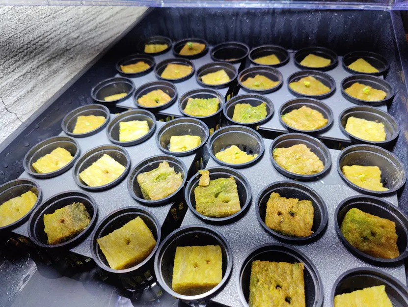 Giá đỡ giỏ 2,5" cho trồng cây thủy canh - Image 2