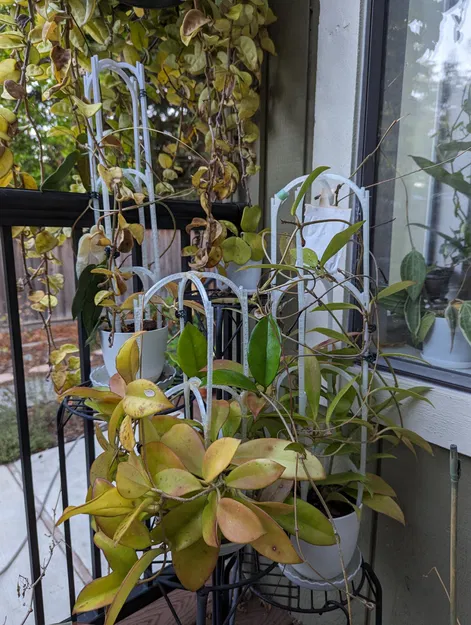 Giá đỡ cây có thể xếp chồng lên nhau cho vườn - Image 2