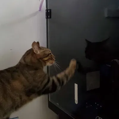 Tay cầm cho vỏ máy in 3D Printed Solid v1