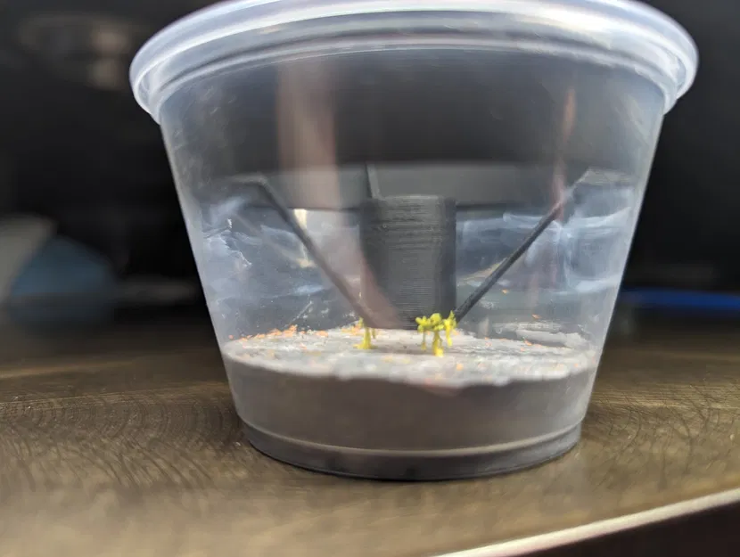 Capsule cho slime mold trong cốc deli 4oz - Image 2