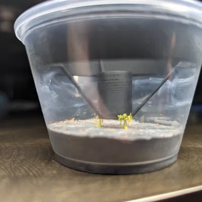 Capsule cho slime mold trong cốc deli 4oz