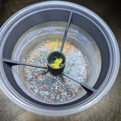 Capsule cho slime mold trong cốc deli 4oz